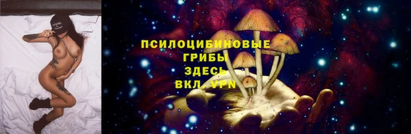 кокаин перу Богданович