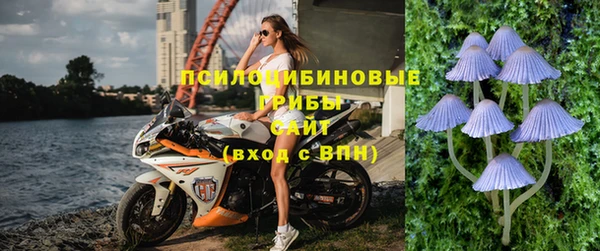 спайс Богородицк