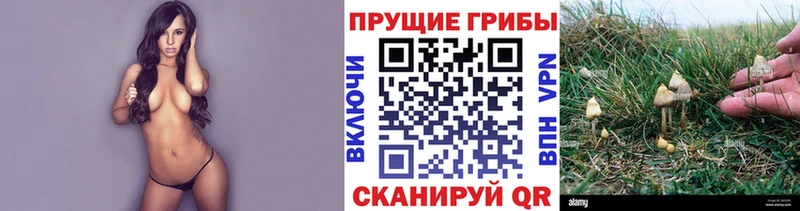 Псилоцибиновые грибы мухоморы  магазин  наркотиков  Волжский 